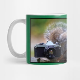 Grey squirrel Photographer Mug